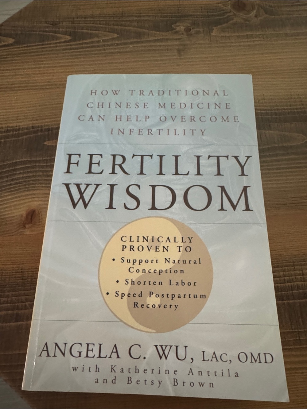 Fertility Wisdom by Angela C. Wu - Light Blue & Beige Cover